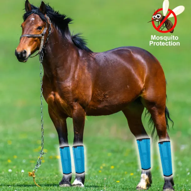 4 Pack Horse Fly Boots - Breathable Plastic Mesh Design - Reduces Kicking, Hoof Damage and Leg Fatigue