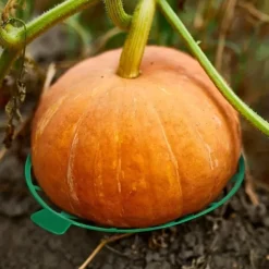 10 Pack Plant Melon Supports Cages Cradles Trellis for Watermelon, Cantaloupe, Pumpkins, Strawberries - Avoid Ground Rot - Reusable (Round Watermelon Support)