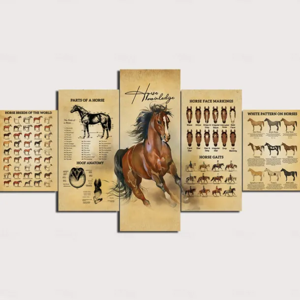 5 Panels Wall Art Canvas Prints Painting Artwork Picture Horse Painting Home Decoration Decor Rolled Canvas No Frame Unframed Unstretched