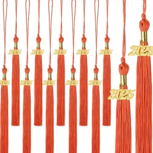 12 Pieces Graduation Tassel with 2025 Charm for Graduation Cap, Charm Graduation Tassel Decorations for Graduation Ceremony Graduation Party Supplies Accessories