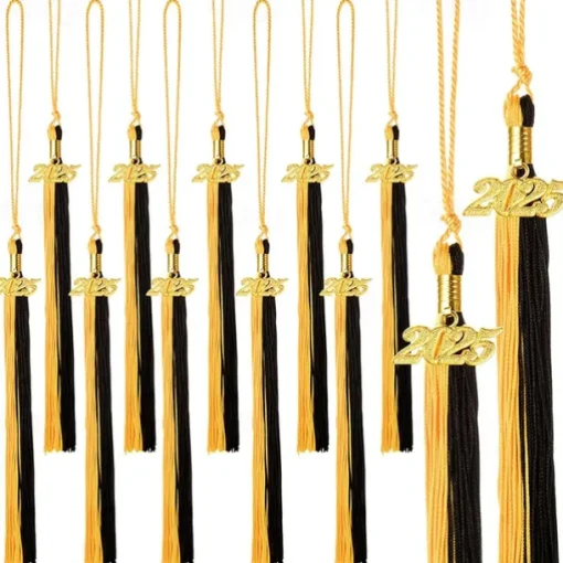 12 Pieces Graduation Tassel with 2025 Charm for Graduation Cap, Charm Graduation Tassel Decorations for Graduation Ceremony Graduation Party Supplies Accessories