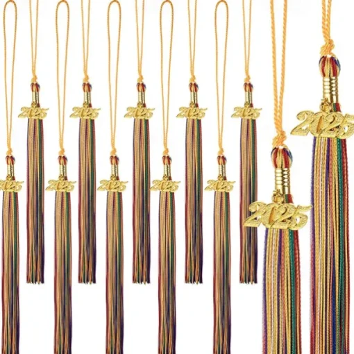 12 Pieces Graduation Tassel with 2025 Charm for Graduation Cap, Charm Graduation Tassel Decorations for Graduation Ceremony Graduation Party Supplies Accessories