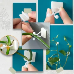 20 Pieces Invisible Wall Rattan Clamp Plant Climbing Wall Self-Adhesive Fixator Vine Buckle Hook Rattan Fixed Clip Bracket Plant Stent Support
