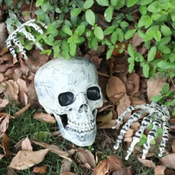 1 set Halloween Decorations Halloween Entertaining, Holiday Decorations Party Garden Wedding Decoration 13.5X18.5/9.5X37 cm Halloween Skeleton Decoration