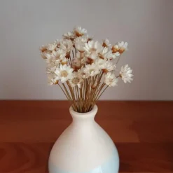 50 Stems Star Flower Blossom in White, Dried Flowers, Wedding Decor, Home Decor, Dried Flowers, Floral Arrangements, Wedding Flowers