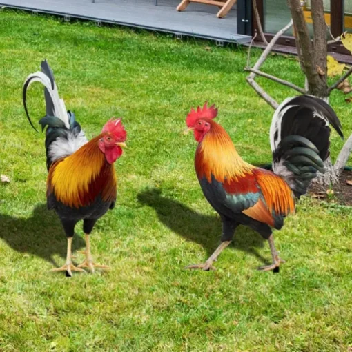 Acrylic 2D Lawn Stake Garden Chicken Stake Flat Decorative Panel Garden Decor Stakes Chicken Yards Art Decorative Lawn Sign Chicken Stake Sign Chicken Ornament Yard Ornament Outdoor