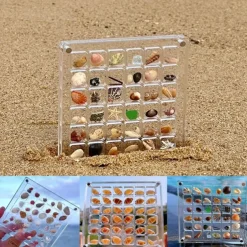 Acrylic Magnetic Seashell Display Box Premium Quality Stunning Showcase to Present and Protect Your Cherished Seashell Collection, Perfect for Home Decor or Gift Giving(Seashell Not Included)