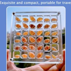 Acrylic Magnetic Seashell Display Box Premium Quality Stunning Showcase to Present and Protect Your Cherished Seashell Collection, Perfect for Home Decor or Gift Giving(Seashell Not Included)