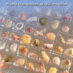 Acrylic Magnetic Seashell Display Box Premium Quality Stunning Showcase to Present and Protect Your Cherished Seashell Collection, Perfect for Home Decor or Gift Giving(Seashell Not Included)
