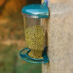 Bird Feeder For The Window Bird House With Strong Suction Cup For Hanging Guaranteed Dry Food 500ml Filling Volume