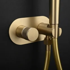 Concealed Bidet Sprayer 2Functions Water Flow Brass Valve Button Adjustable Cold/ Hot Mixer PVC HoseBrushed Gold Grey White