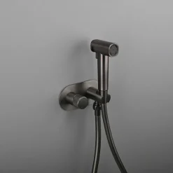 Concealed Bidet Sprayer 2Functions Water Flow Brass Valve Button Adjustable Cold/ Hot Mixer PVC HoseBrushed Gold Grey White