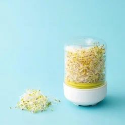 Countertop Sprouter Growing Kit, Home Made Fresh Bean Sprouts, Bean Sprouts Making Countertop Bean Sprouts