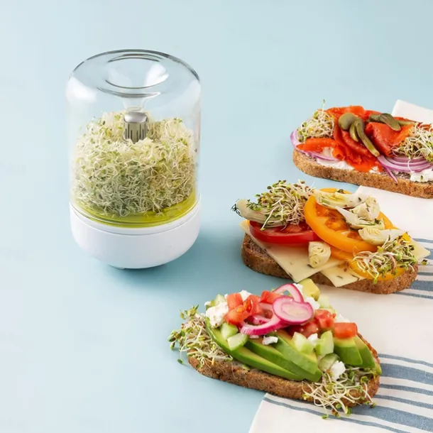 Countertop Sprouter Growing Kit, Home Made Fresh Bean Sprouts, Bean Sprouts Making Countertop Bean Sprouts