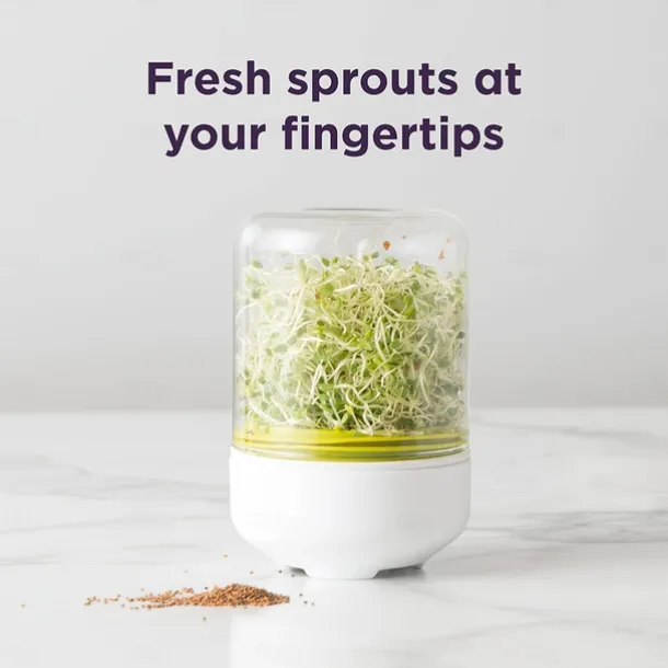 Countertop Sprouter Growing Kit, Home Made Fresh Bean Sprouts, Bean Sprouts Making Countertop Bean Sprouts