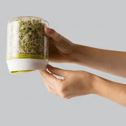 Countertop Sprouter Growing Kit, Home Made Fresh Bean Sprouts, Bean Sprouts Making Countertop Bean Sprouts