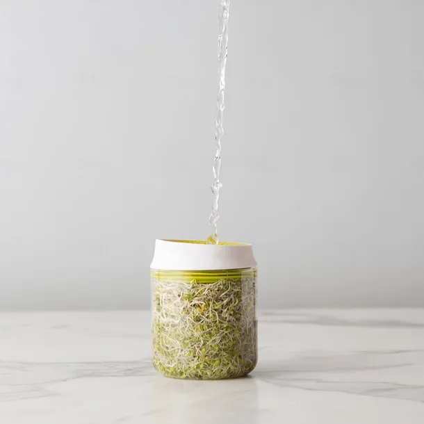 Countertop Sprouter Growing Kit, Home Made Fresh Bean Sprouts, Bean Sprouts Making Countertop Bean Sprouts