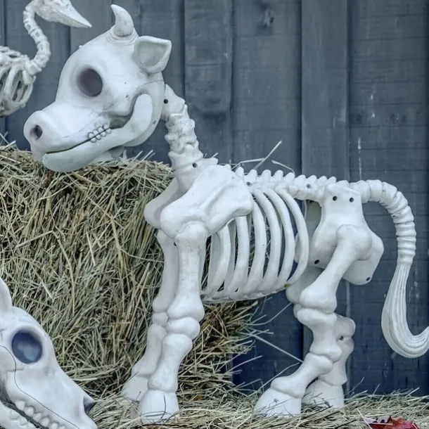 Cow Skeleton Halloween Decoration, 2025 New Halloween Cow Skeleton, Cow Skull Halloween Haunted Skeleton, Halloween Decorative Prop