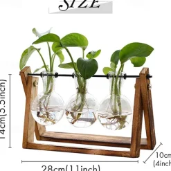 Creative Wooden Frame Glass Vase Tabletop Terrarium Hydroponics Plant Vases Bonsai 3 Transparent Flower Pot with Wooden Tray Home Decor