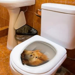 3D Three-dimensional Squirrel Toilet Lid Decal, Removable Self Adhesive Wall Sticker, Creative Toilet Cover Decorative Sticker, Bathroom Decor asethetic room decor, home decor