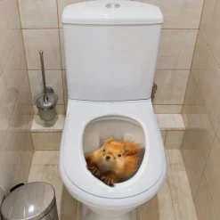 3D Three-dimensional Squirrel Toilet Lid Decal, Removable Self Adhesive Wall Sticker, Creative Toilet Cover Decorative Sticker, Bathroom Decor asethetic room decor, home decor