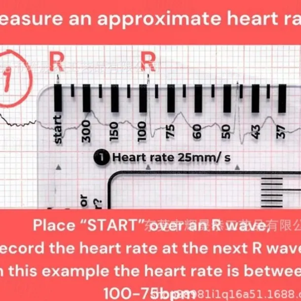ECG 7 Step Ruler, ECG Ruler Plastic Ruler Measuring Tool, ECG 7 Step Ruler for ECG/EKG Interpretation, Transparent EKG Calipers Measuring Tool, Follow a 7 Step Plan