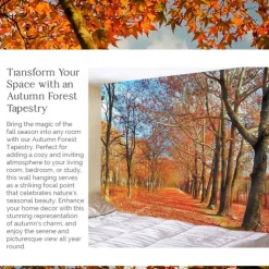 Forest Sunshine Landscape Hanging Tapestry Wall Art Large Tapestry Mural Decor Photograph Backdrop Blanket Curtain Home Bedroom Living Room Decoration