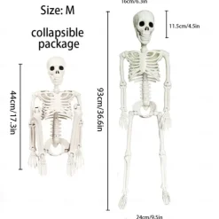 Full Body Skeleton with Movable Posable Joints, Realistic Plastic Bones Halloween Prop for Outdoor Haunted House Decorations