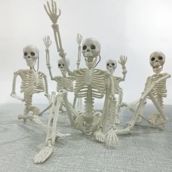 Full Body Skeleton with Movable Posable Joints, Realistic Plastic Bones Halloween Prop for Outdoor Haunted House Decorations