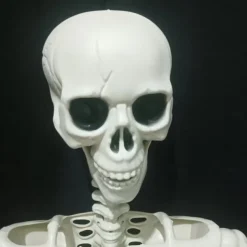 Full Body Skeleton with Movable Posable Joints, Realistic Plastic Bones Halloween Prop for Outdoor Haunted House Decorations
