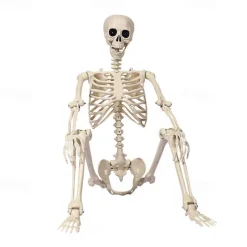 Full Body Skeleton with Movable Posable Joints, Realistic Plastic Bones Halloween Prop for Outdoor Haunted House Decorations