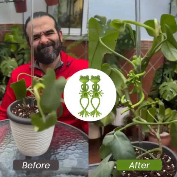 Green Frog Plant Supports Set Frog Plant Stand, Cute Frog Flower Pot Hugger Plant Climbing Fixture Clips, Multipurpose Frog Planter Decor Plant Vine Traction