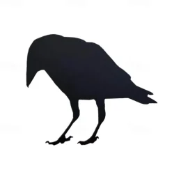 Halloween Acrylic Black Crow Scuplture Ornament Creative Photo Frame Raven Bird Statue Figurine Wall Display Decoration