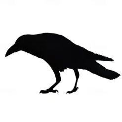 Halloween Acrylic Black Crow Scuplture Ornament Creative Photo Frame Raven Bird Statue Figurine Wall Display Decoration
