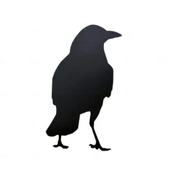 Halloween Acrylic Black Crow Scuplture Ornament Creative Photo Frame Raven Bird Statue Figurine Wall Display Decoration