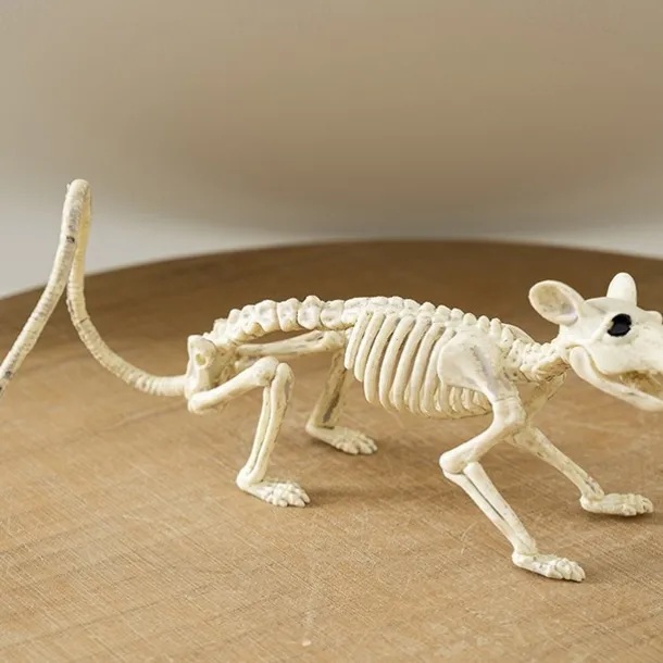 Halloween Animal Skeleton Yard Decorations Perfect for Indoor/Outdoor Use