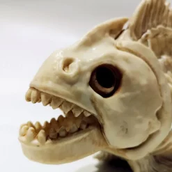 Halloween Fish Skeleton Modelfish Skeleton Halloween Skeleton Decoration Skeleton Ornament-Fish Tank Plastic Simulation Fish Bones Ornaments Party Decoration