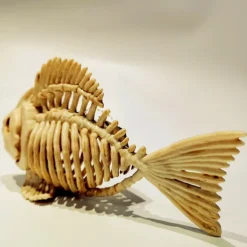 Halloween Fish Skeleton Modelfish Skeleton Halloween Skeleton Decoration Skeleton Ornament-Fish Tank Plastic Simulation Fish Bones Ornaments Party Decoration