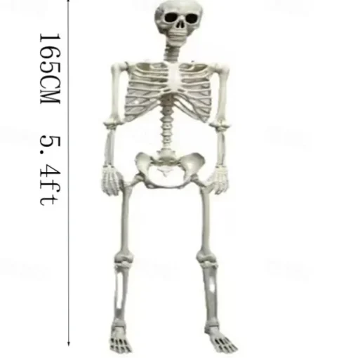 Halloween Hanging Decorations, Full Body Skeleton with Movable Joints, Indoor and Outdoor Party Decor for Yard Patio Lawn Garden