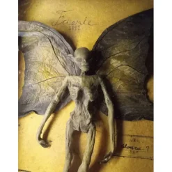 Halloween Mummified Fairy Display Box Solid Mdf Rectangle Distressed Wooden Hard Gift Durable Scary Mummy Skeleton With Wing Decoration Living Room Supplies