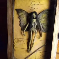 Halloween Mummified Fairy Display Box Solid Mdf Rectangle Distressed Wooden Hard Gift Durable Scary Mummy Skeleton With Wing Decoration Living Room Supplies