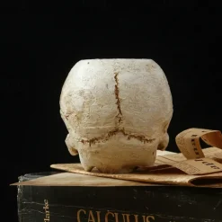 Halloween Skull Resin Candle Holder - Skeleton Candlestick Halloween Decoration (Not Include Cande)