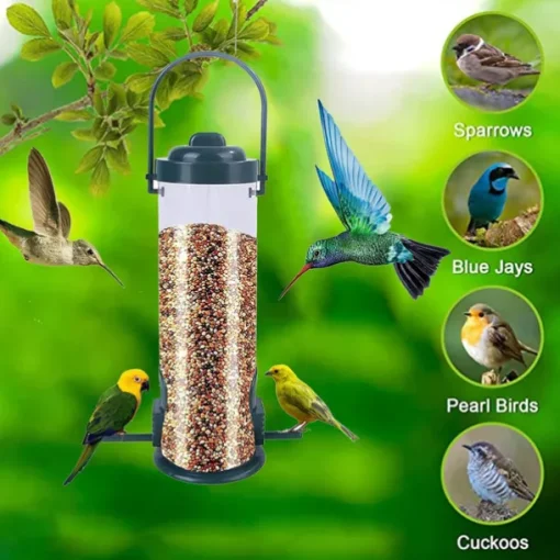 Hanging Bird Feeder Outdoor Hummingbird Food Dispenser for Small Birds Lovebird Macaws Pet Flying Animal Automatic Food Feeding Tool
