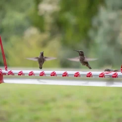 Hummingbird Feeder with Hole Garden Birds Feeding Pipe Transparent Tube 60cm