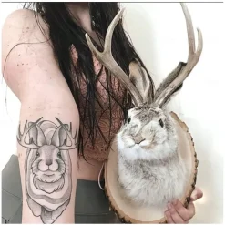 Jackalope Rabbit Wall Decor The Latest Legend of Antlers,Fake Rabbit Resin Art Wall Mount, Simulation Head Specimen Ornament