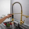 Kitchen faucet - Single Handle One Hole Electroplated Pull-out / Pull-down Deck Mounted Modern Contemporary Kitchen Taps