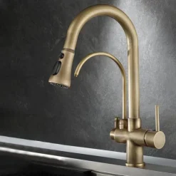 Kitchen faucet - Two Handles One Hole Electroplated / Painted Finishes Pull-out / Pull-down / Tall / High Arc / Purified water Centerset Modern Contemporary Kitchen Taps