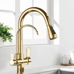Kitchen faucet - Two Handles One Hole Electroplated / Painted Finishes Pull-out / Pull-down / Tall / High Arc / Purified water Centerset Modern Contemporary Kitchen Taps