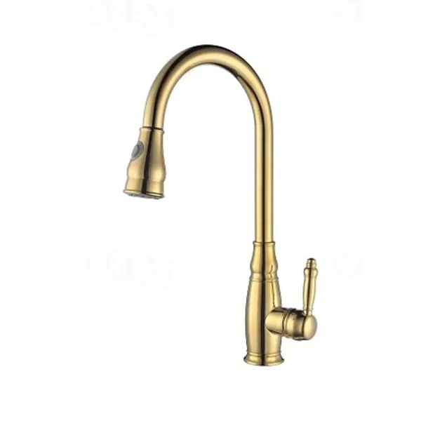 Kitchen Faucet Contemporary Retro Style Ti-PVD Pull-out/Pull-down Vessel/Brass/Single Handle One Hole