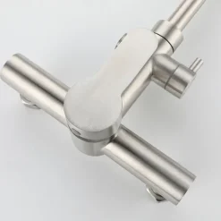 Kitchen Faucet with Bidet Single Handle Two Holes Stainless Steel Standard Spout Wall Mounted Modern Contemporary Kitchen Taps